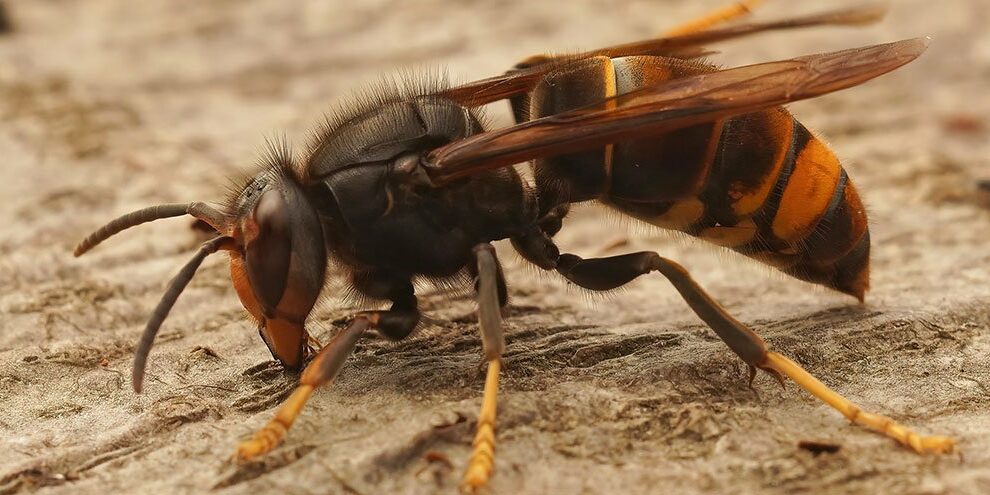 c3703a6727b9d8f88ad99e8f89799d